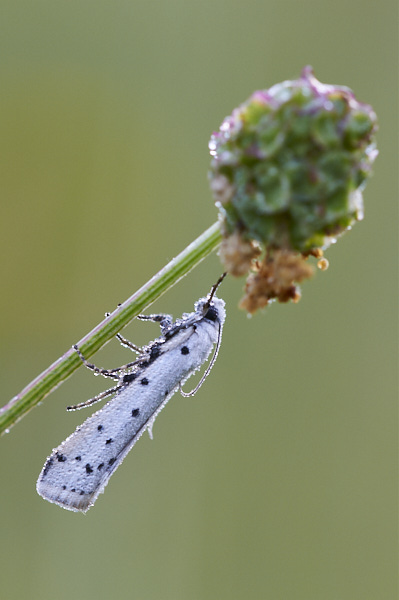 Image from Daneway Banks