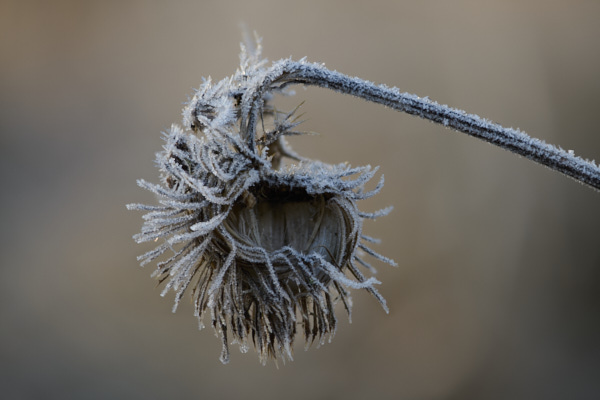 Image from Daneway Banks