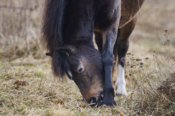 Image from Daneway Banks