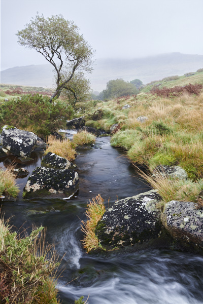 Image of a Dartmoor Stream, Dartmoor