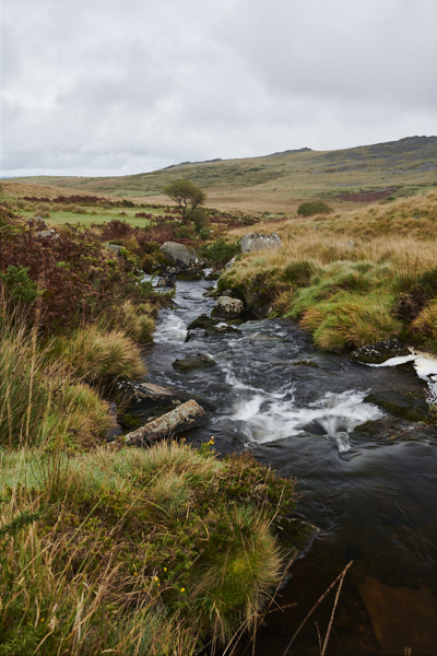 Image of a Dartmoor Stream, Dartmoor