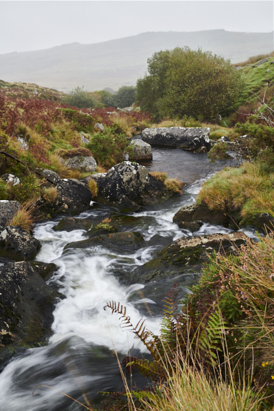 Image of a Dartmoor Stream, Dartmoor