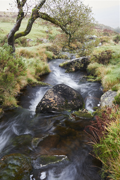 Image of a Dartmoor Stream, Dartmoor