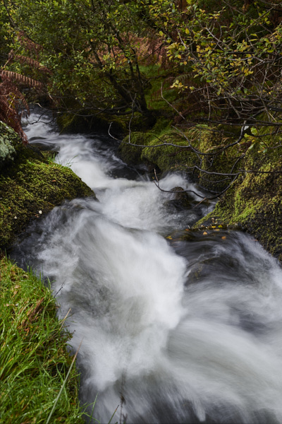 Image of a Dartmoor Stream, Dartmoor