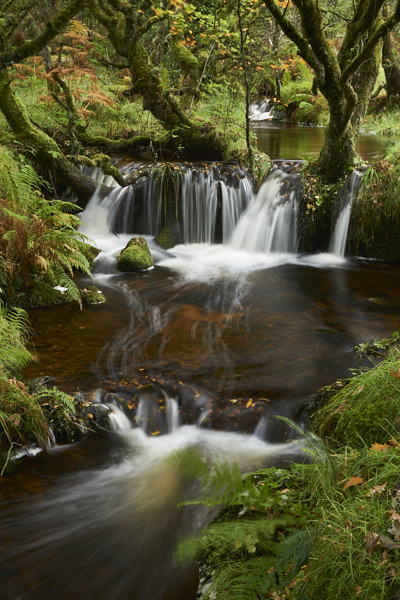 Image of a Stream