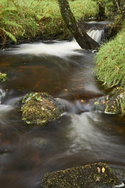 Image of a Dartmoor Stream, Dartmoor