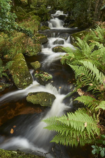 Image of a Dartmoor Stream, Dartmoor