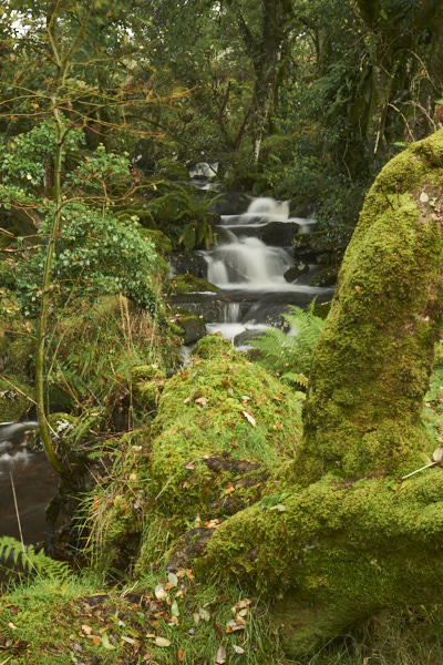 Image of a Dartmoor Stream, Dartmoor