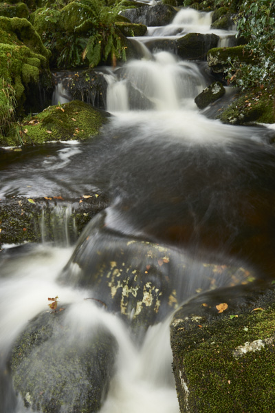 Image of a Stream