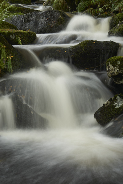 Image of a Dartmoor Stream, Dartmoor