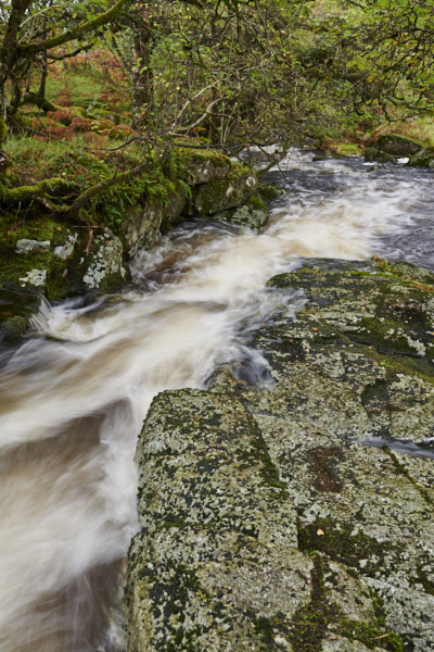 Image of a Dartmoor Stream, Dartmoor