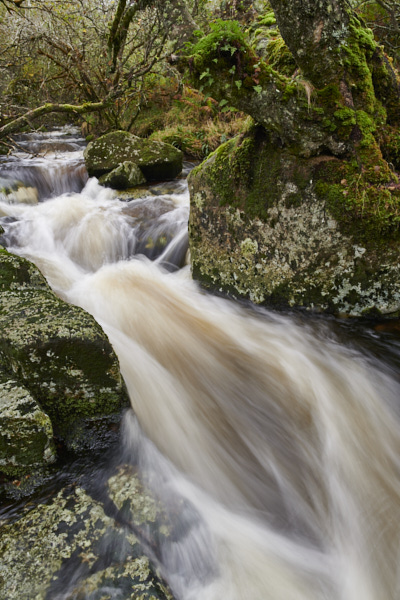 Image of a Dartmoor Stream, Dartmoor