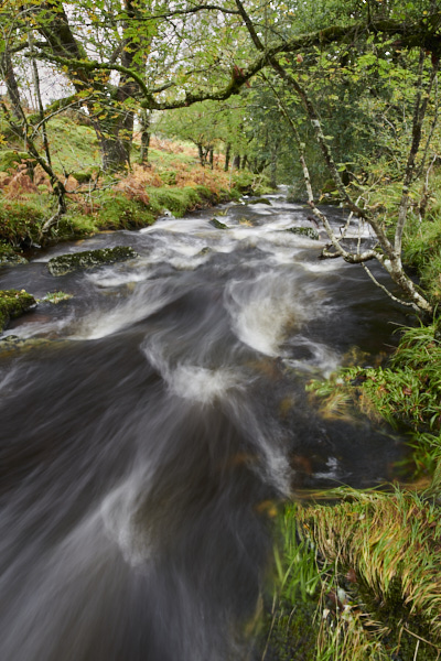 Image of a Dartmoor Stream, Dartmoor