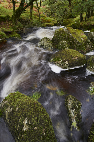 Image of a Dartmoor Stream, Dartmoor