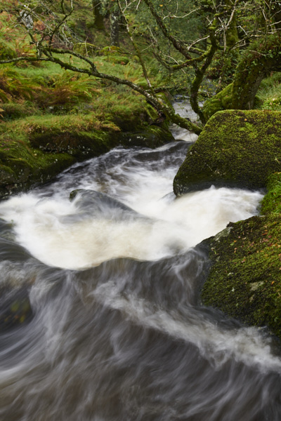 Image of a Dartmoor Stream, Dartmoor