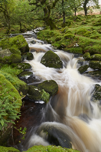 Image of a Dartmoor Stream, Dartmoor