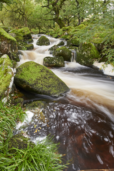 Image of a Dartmoor Stream, Dartmoor