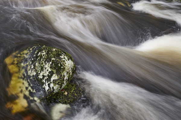 Image of a Dartmoor Stream, Dartmoor
