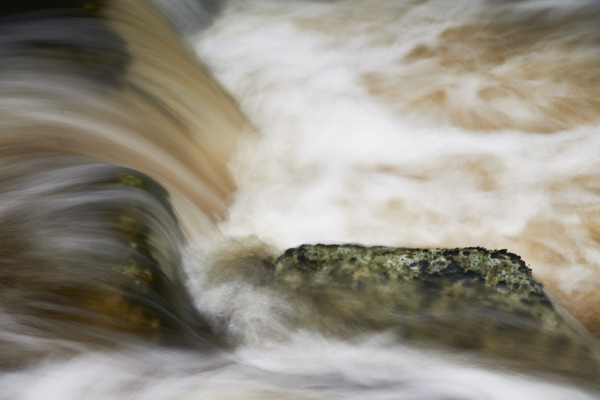 Image of a Dartmoor Stream, Dartmoor