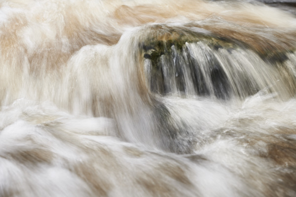 Image of a Dartmoor Stream, Dartmoor