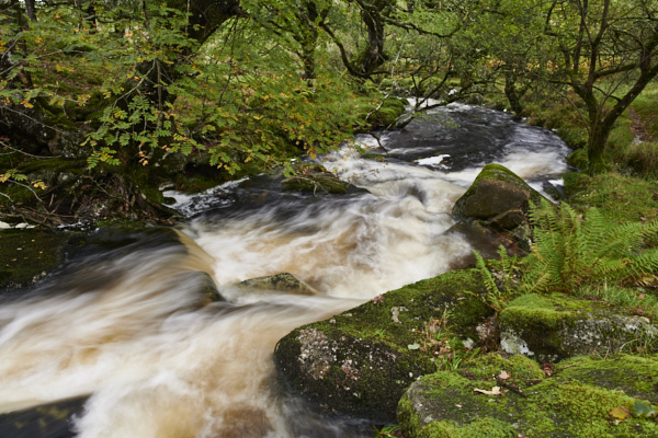 Image of a Dartmoor Stream, Dartmoor