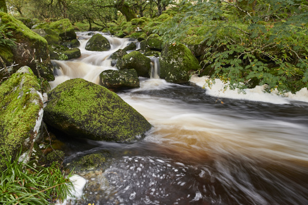 Image of a Dartmoor Stream, Dartmoor