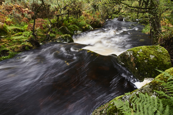 Image of a Dartmoor Stream, Dartmoor