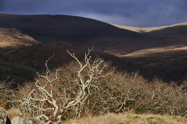 Image of North Wales