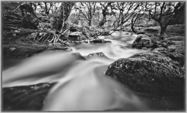 Image of 
