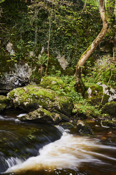 Image of Yorkshire Water