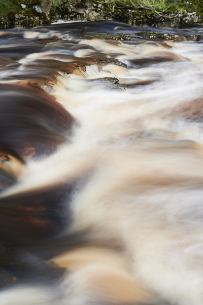 Image of Yorkshire Water