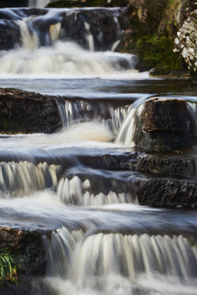 Image of Yorkshire Water