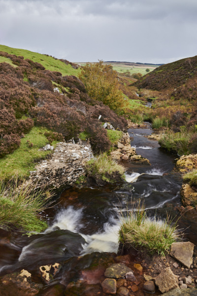 Image of Yorkshire Water