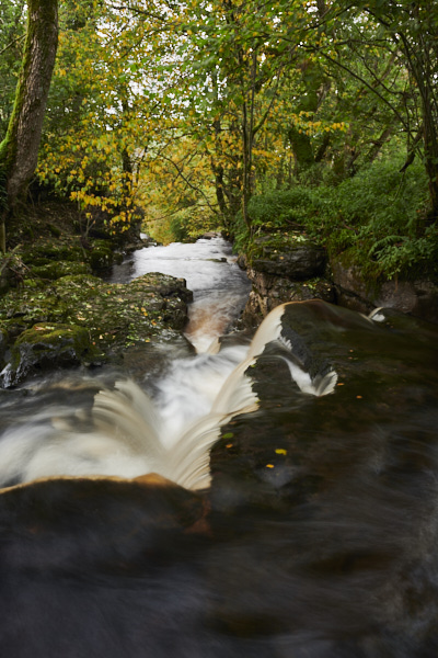 Image of a stream