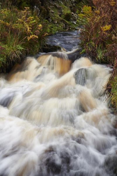 Image of Yorkshire Water