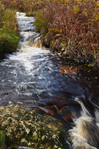 Image of Yorkshire Water