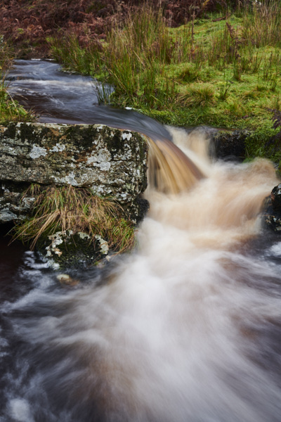 Image of Yorkshire Water