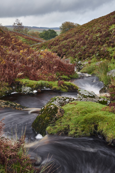 Image of Yorkshire Water