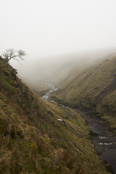 Image of Yorkshire Water