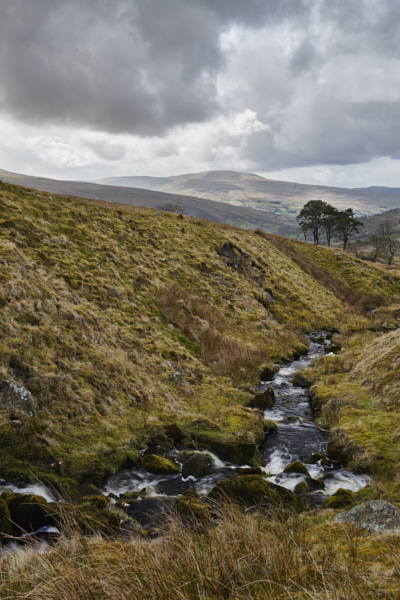 Image of Yorkshire Water