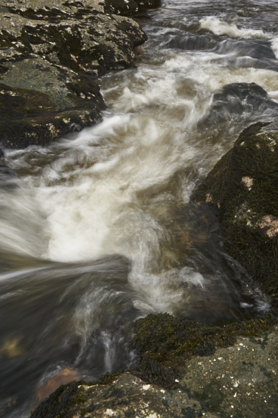 Image of Yorkshire Water