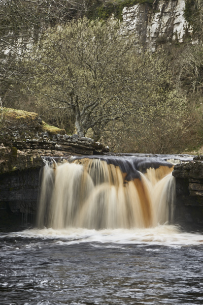 Image of Yorkshire Water