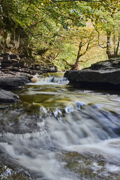 Image of Yorkshire Water