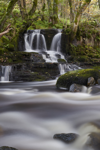 Image of a stream