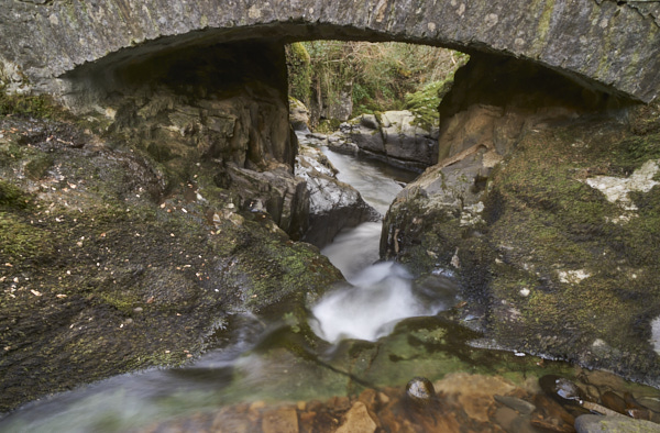 Image of Yorkshire Water