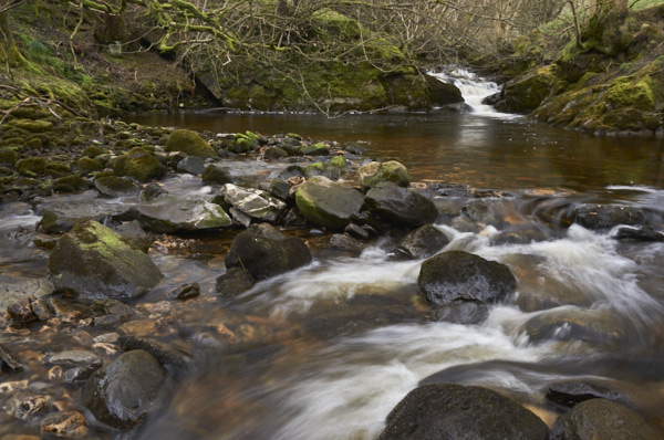 Image of Yorkshire Water