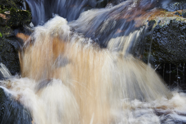 Image of Yorkshire Water