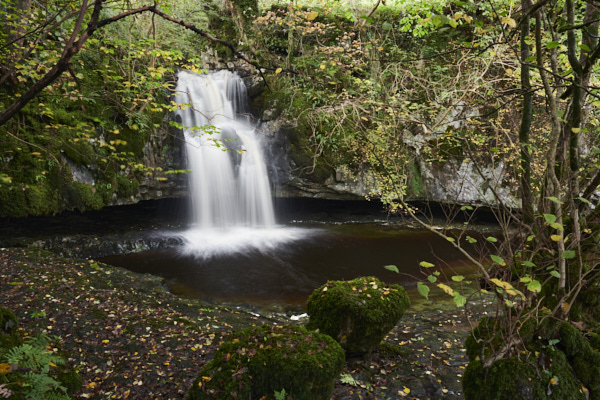 Image of Yorkshire Water