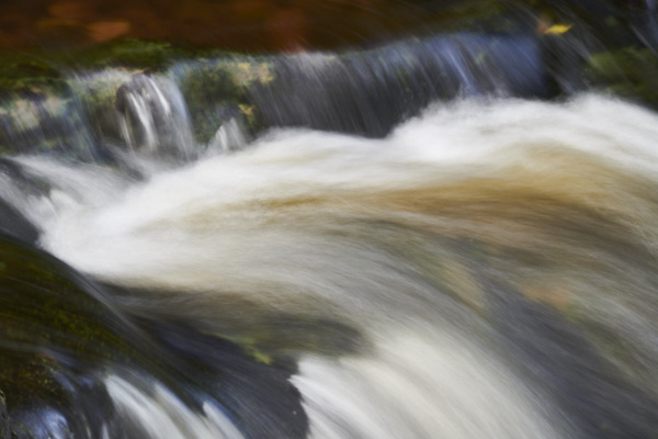 Image of Yorkshire Water