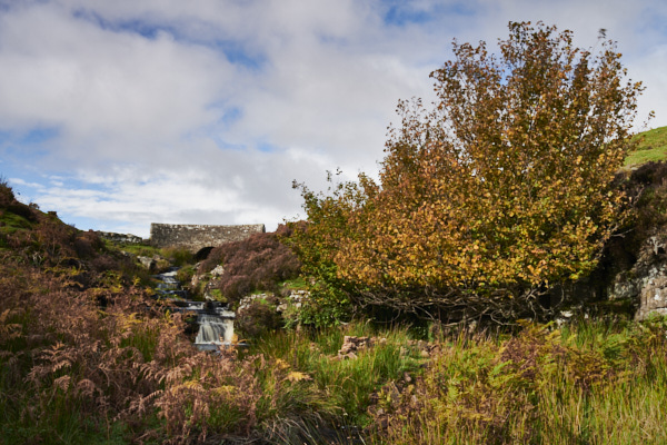 Image of Yorkshire Water